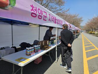청남면 토마토 벚꽃문화축제 지역활성화재단 부스 운영 이미지